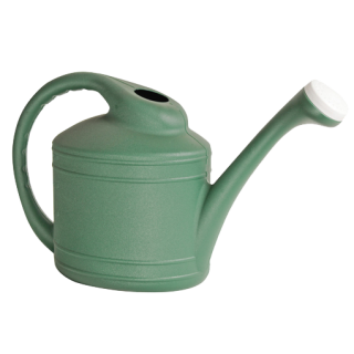 Southern Patio 2-Gallon Watering Can, Fern