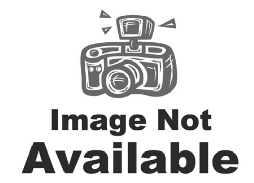 True Value 4d20 Infrared Chip For Enhanced Performance