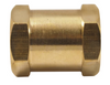 Forney Hose Coupling, 1/4 in FNPT