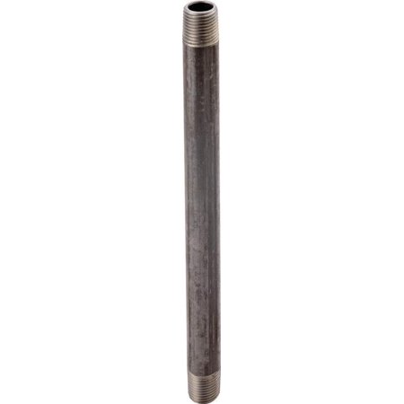 World Wide Sourcing Black Schedule 40 Pipe Nipple