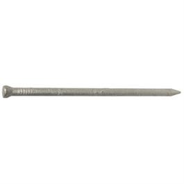 Casing Nails, Galvanized, 10D, 3-In., 1-Lb.