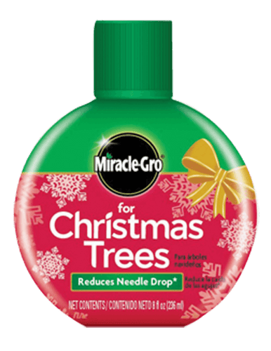 Miracle-Gro® For Christmas Trees